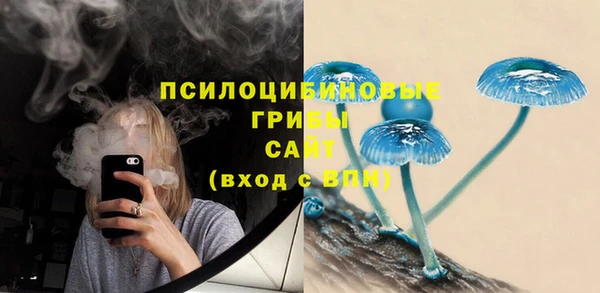 соль курить ск Алексеевка