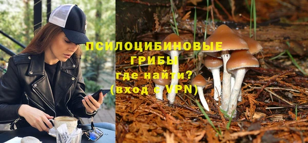 шишки Михайловск