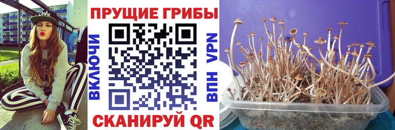 Галлюциногенные грибы ЛСД  Алексин 